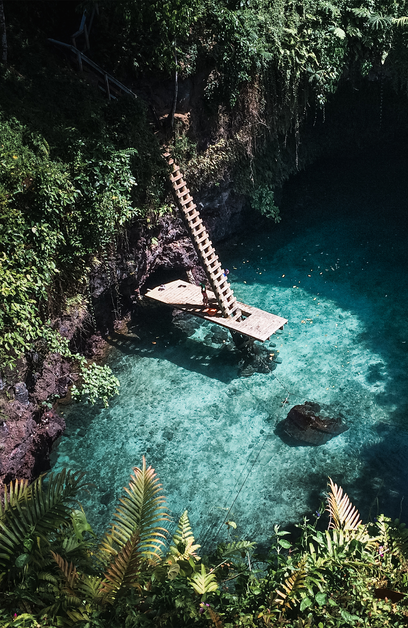 Tu Sua Giant Swimming Hole i Samoa