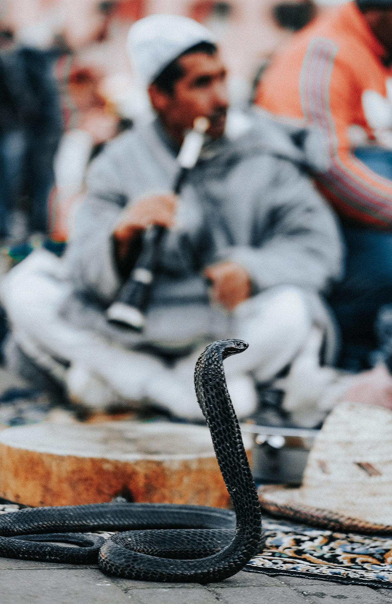 Res Marrakech med KILROY