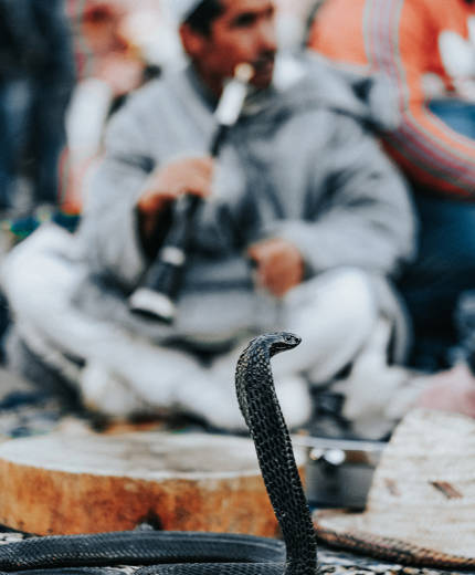 Res Marrakech med KILROY