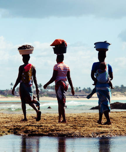 mozambique-carrying-basket-tofo-beach-sidebar