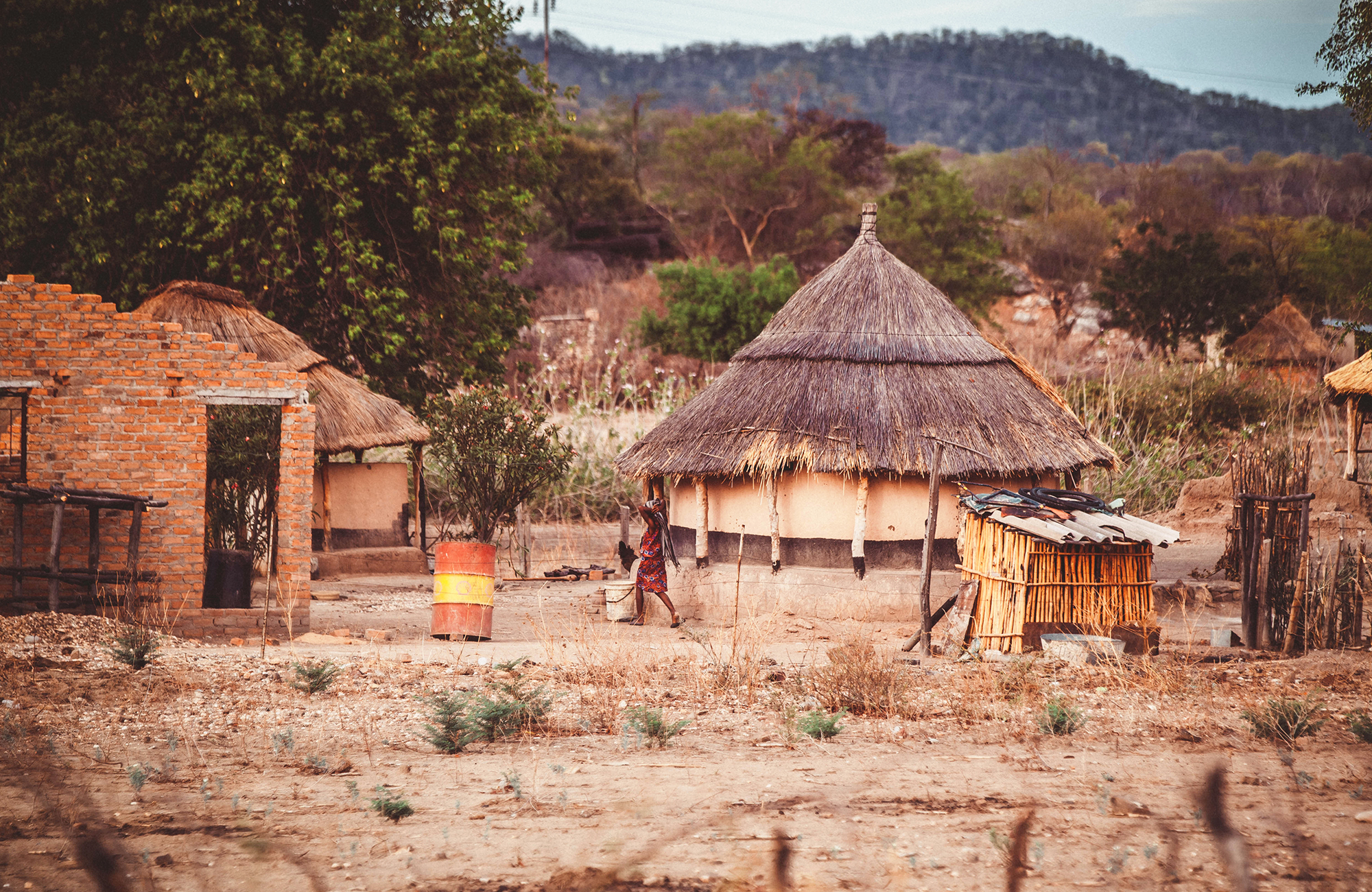 En traditionell stuga i bushen under ett safari i Zimbabwe.