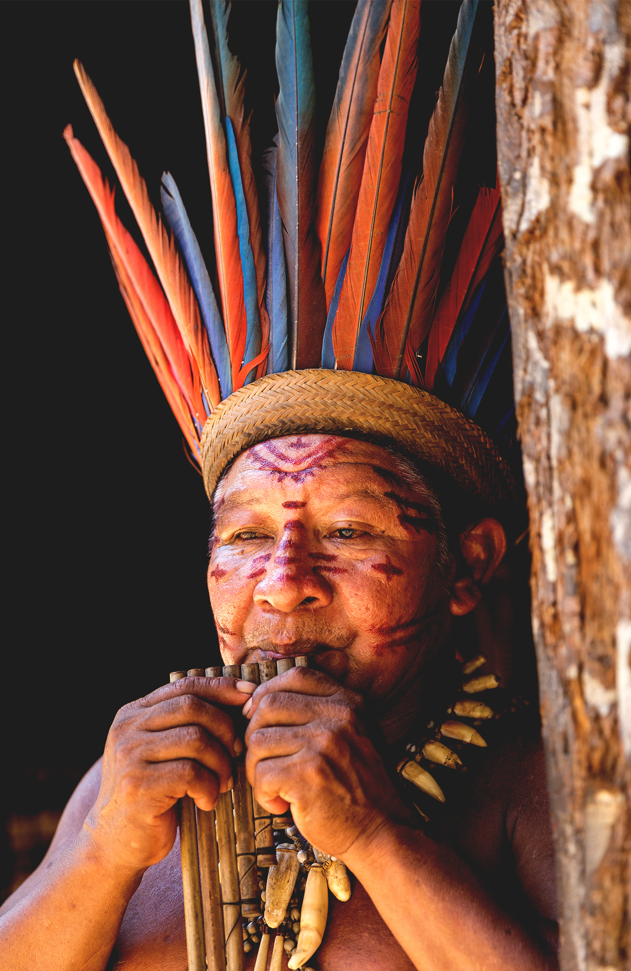 Res till Manaus med KILROY