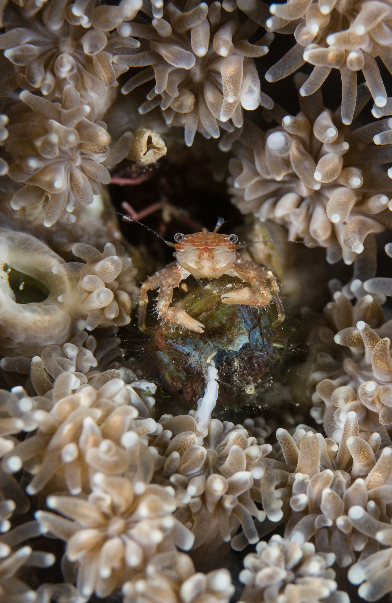 Studera oceanografi utomlands