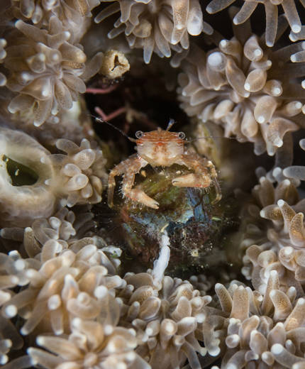 Volontärarbete med KILROY i Kroatien