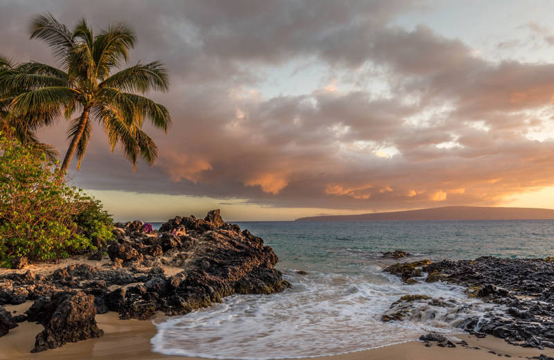 Beach in sunset with palms