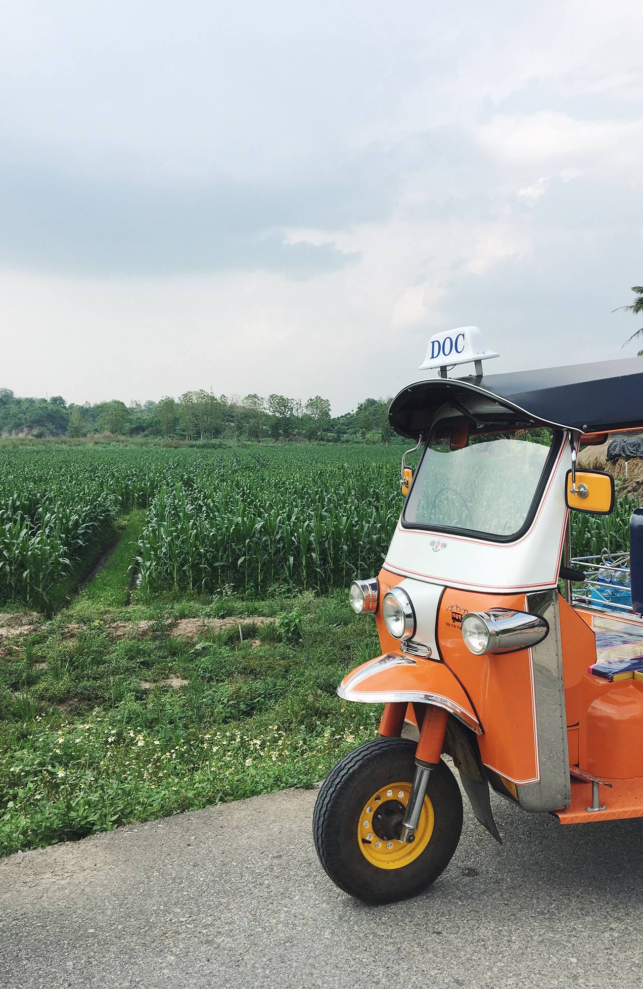 planera ett stopp i chiang mai med KILROY