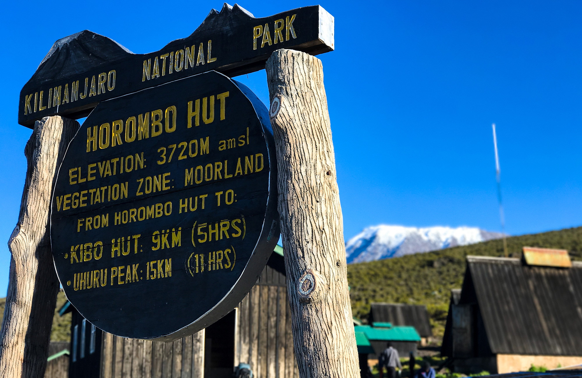 Horombo Hut Kilimanjaro som du kan stöta på under en vandring.