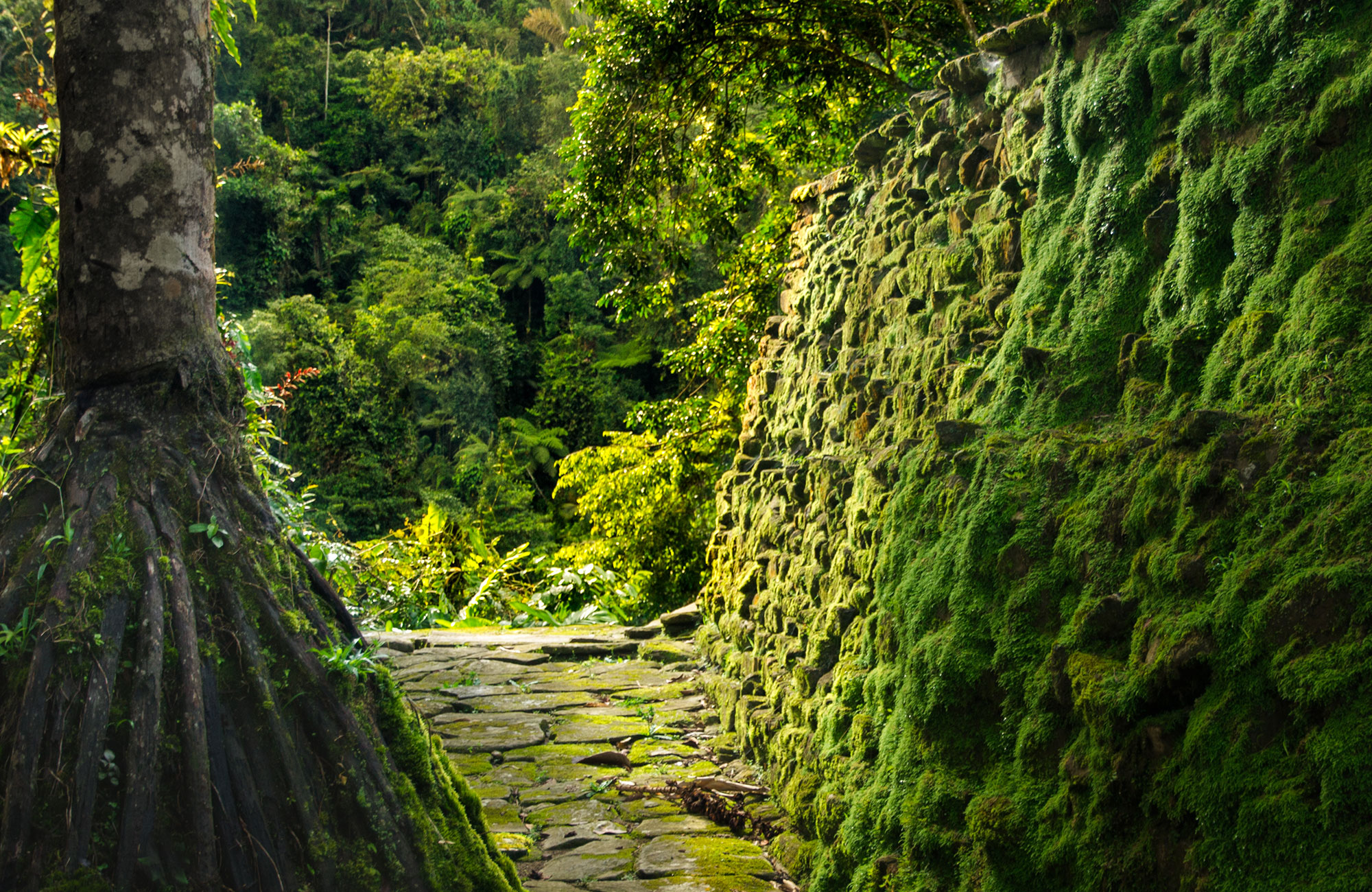 Vandra Lost City Trek i Colombia