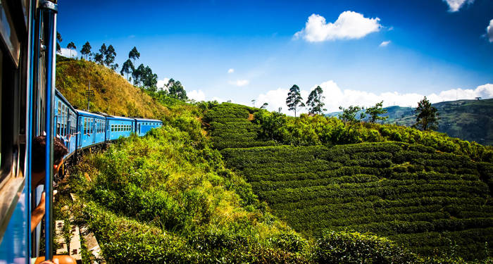 nuwara-eliya-sri-lanka-train-tea-plantations