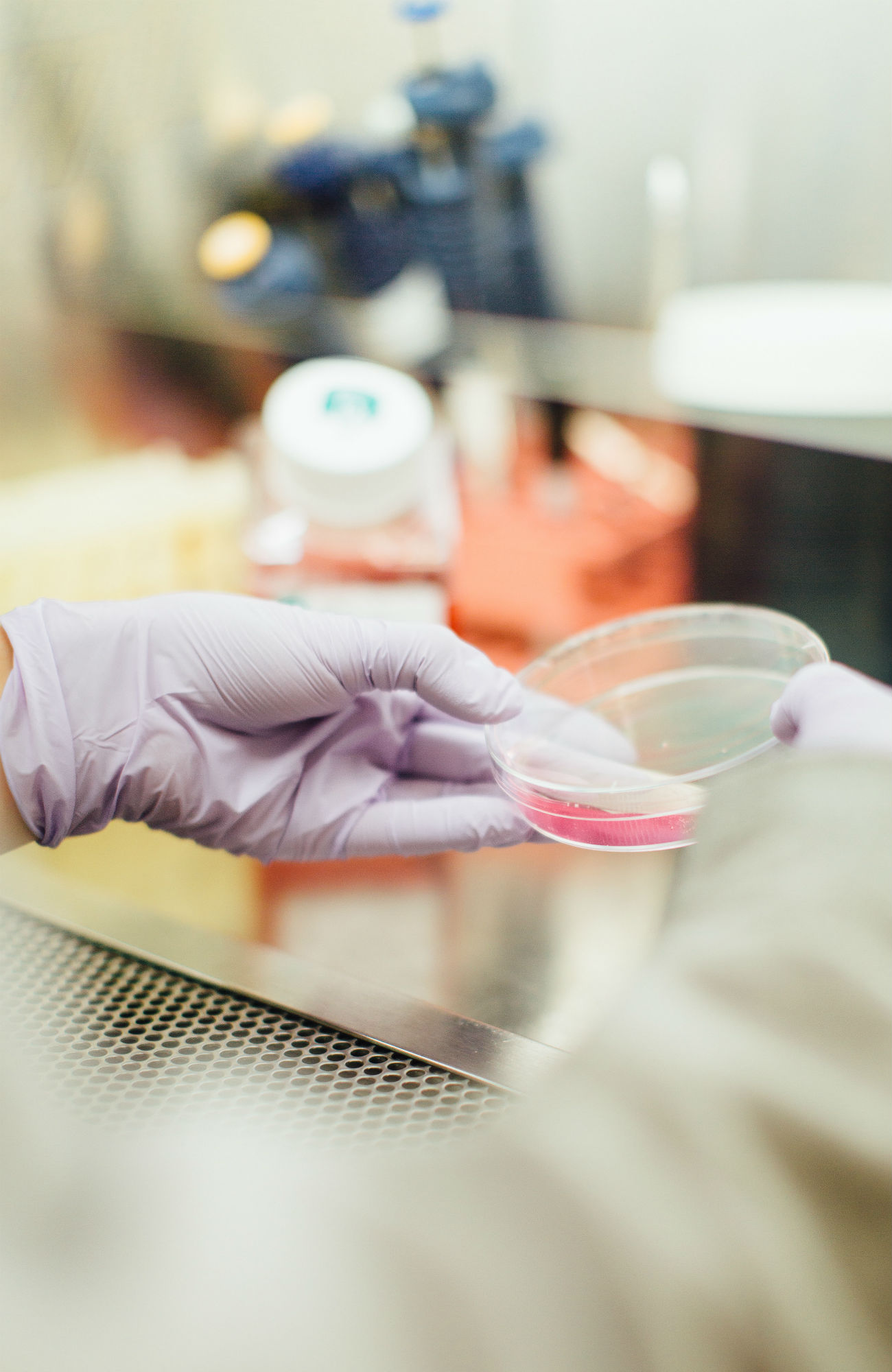 Studera kemiteknik utomlands