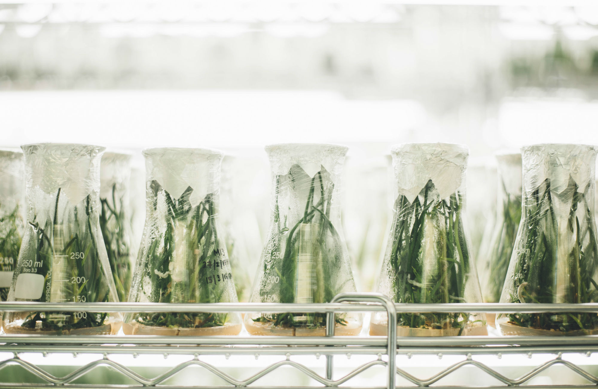 Studera kemiteknik utomlands