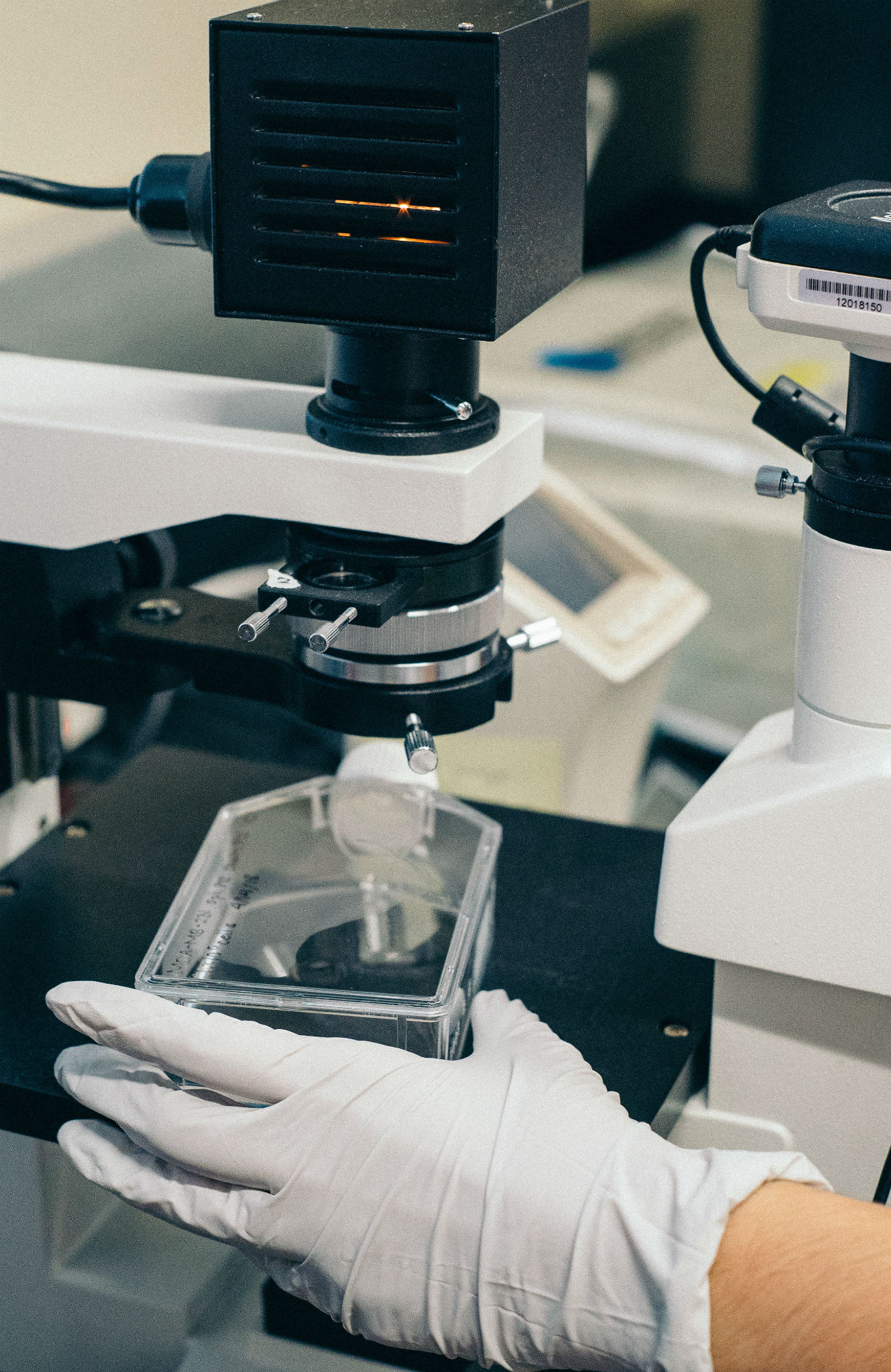 Studera biomedicin utomlands