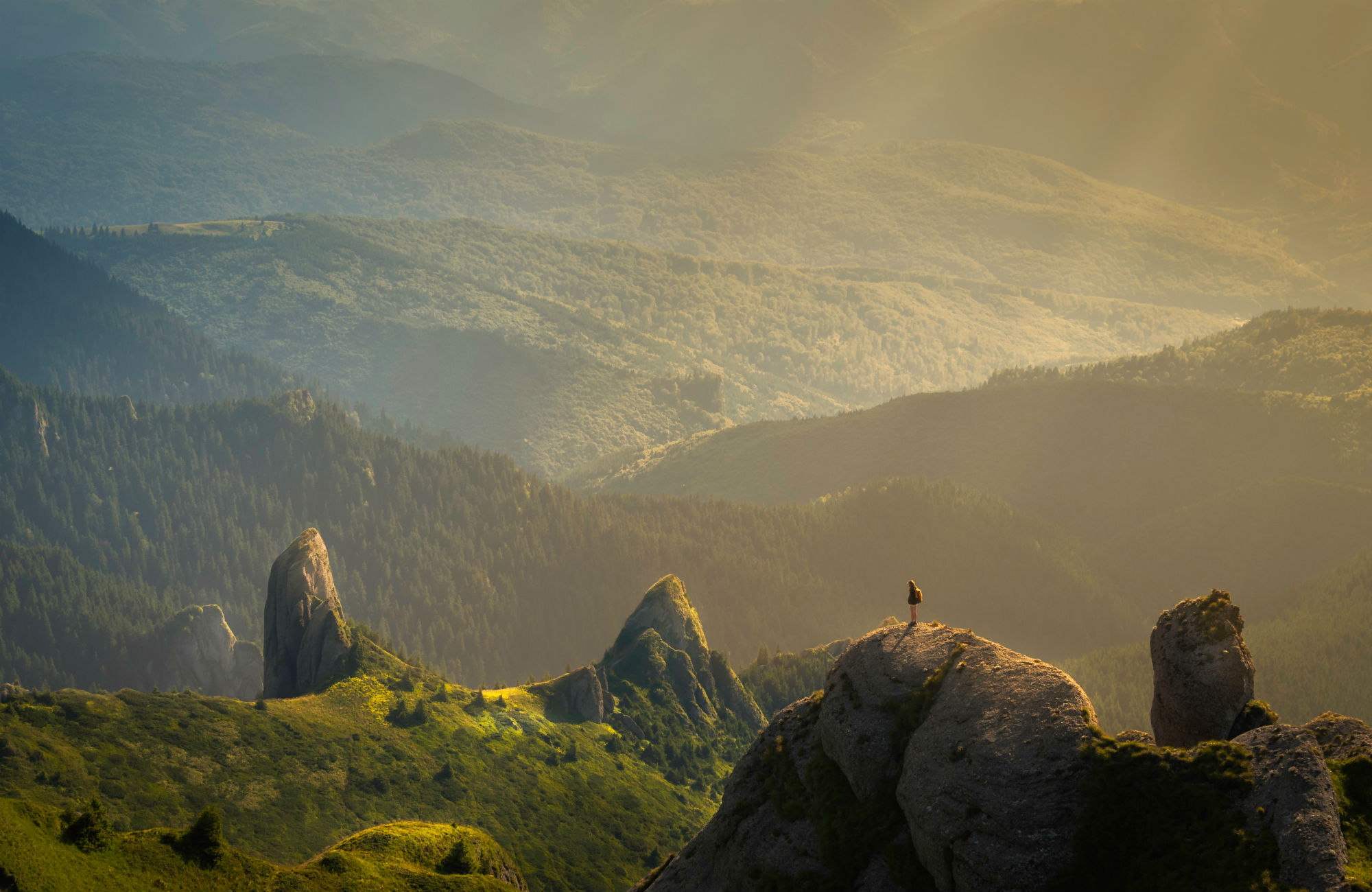 Studera turismvetenskap utomlands