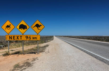 Väg i Australien med gula vägskyltar föreställandes djur.