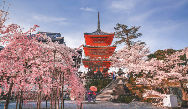 kyoto-japan-kiyomizu-dera-temple-cherry-blossom