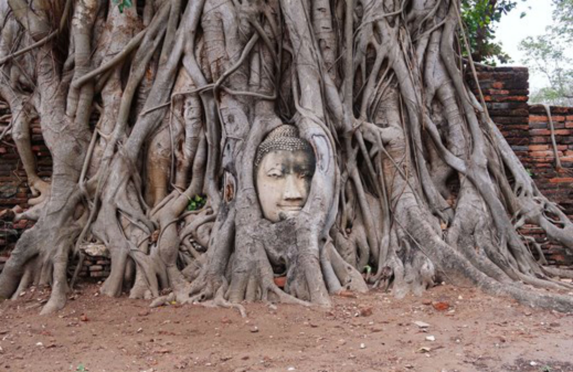 Ayutthaya Thailand under din backpackresa