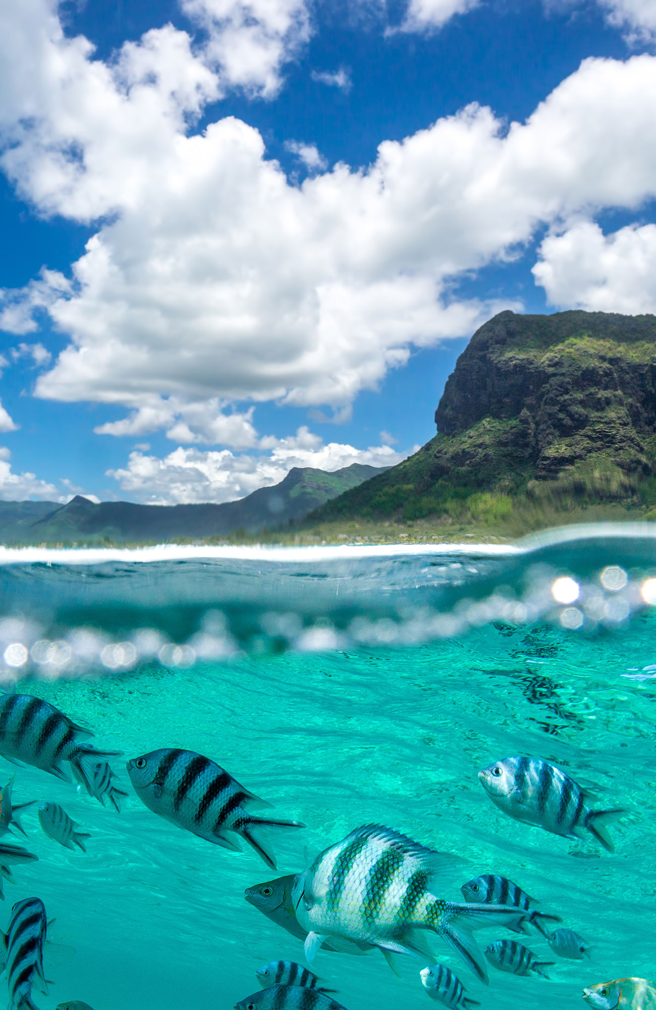 Resor till Mauritius