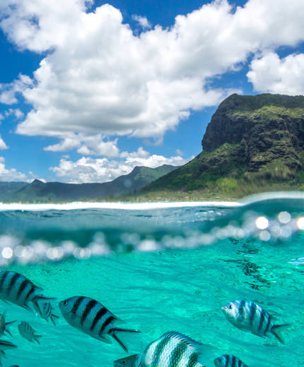 Resor till Mauritius