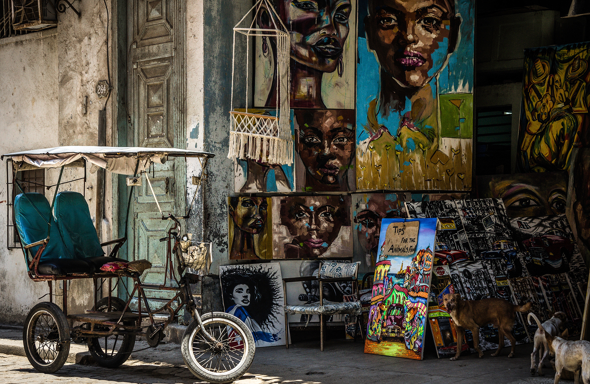 Volontärarbeta i Karibien med KILROY