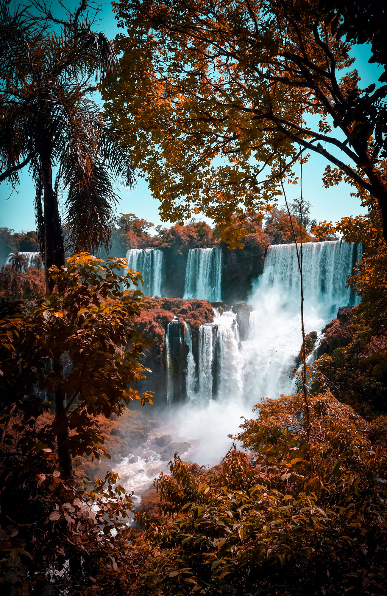 iguazu falls i argentina sett genom djungeln