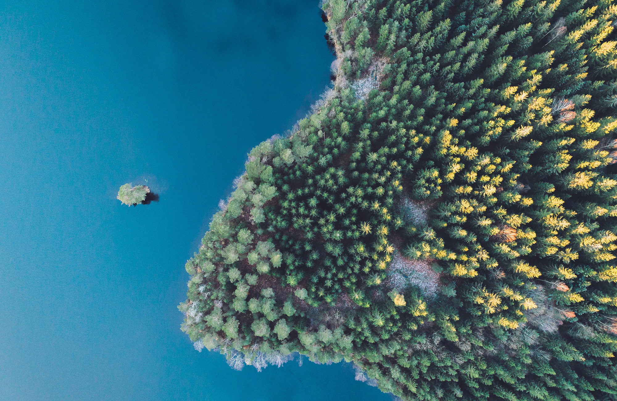 Hemma efter utlandsstudier