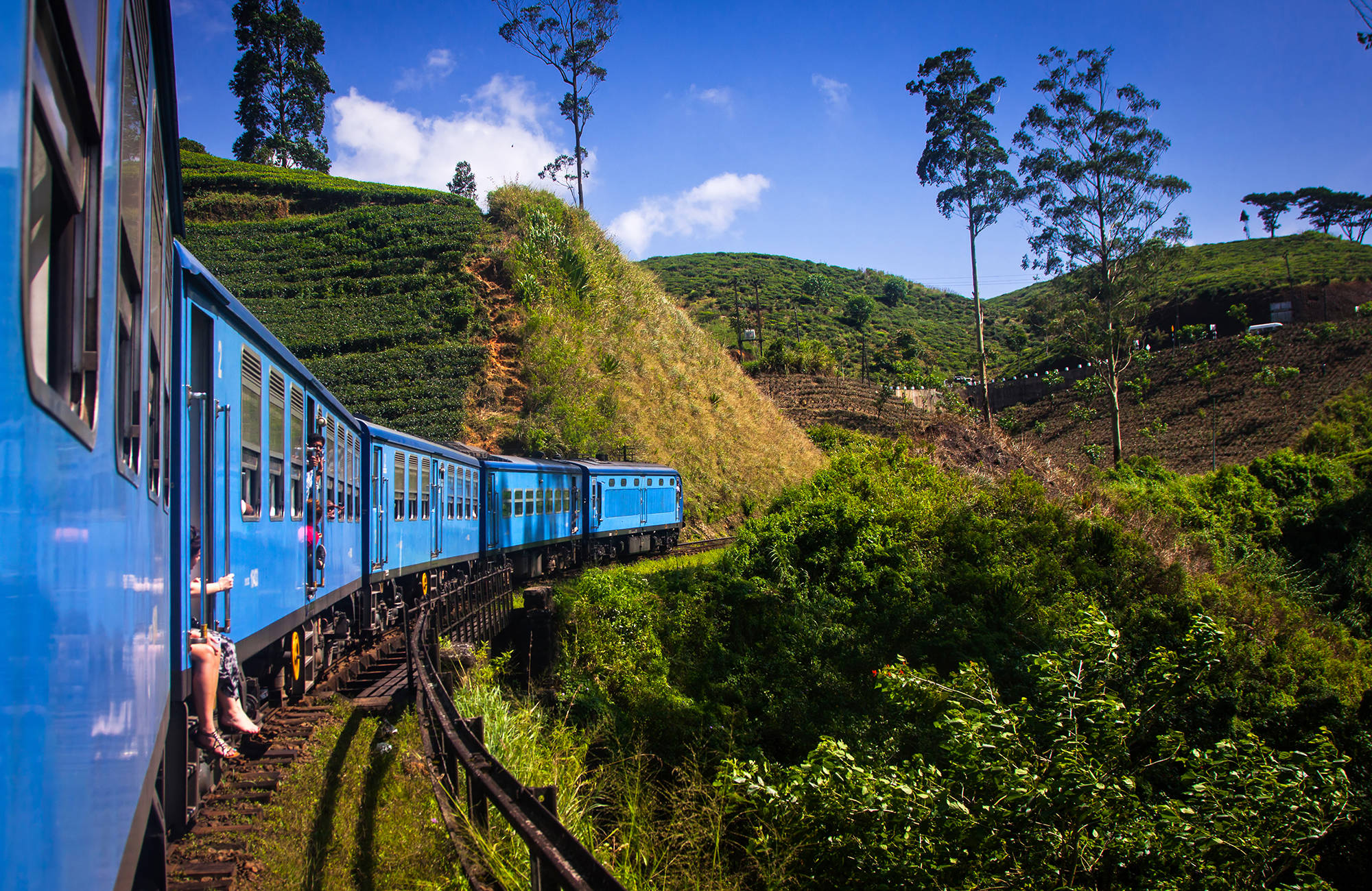 Tåg läng Sri Lankas järnväg i ett grönskande landskap.