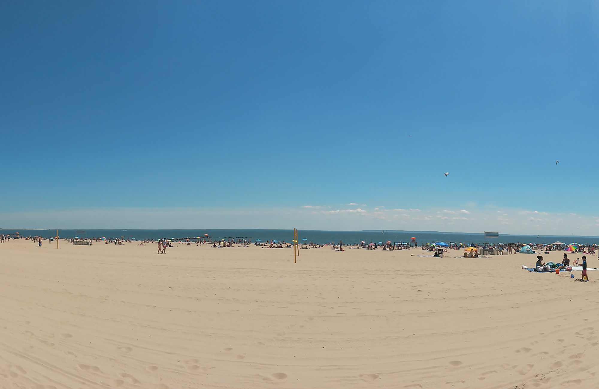 Coney Island
