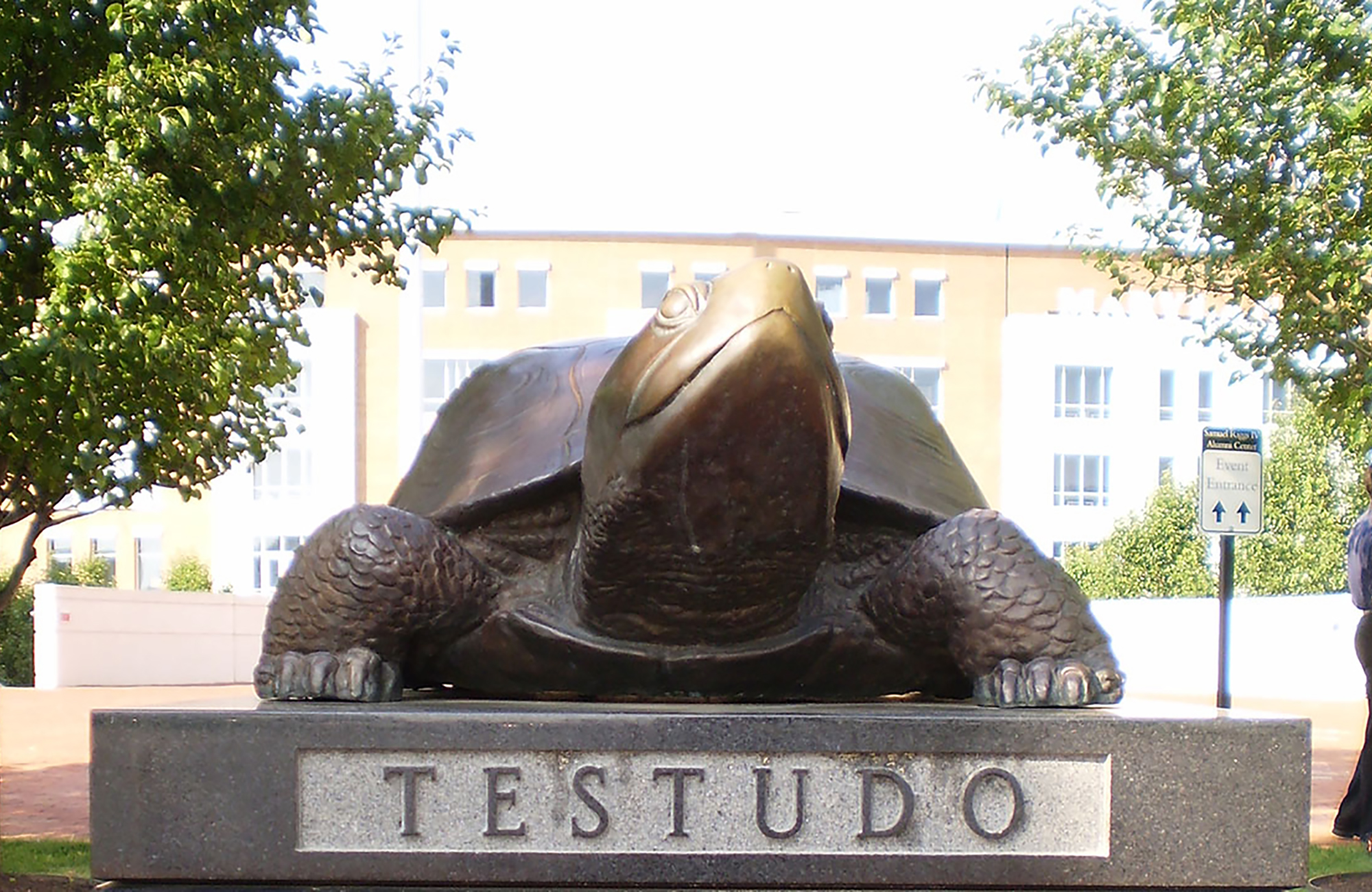 Statue Testudo