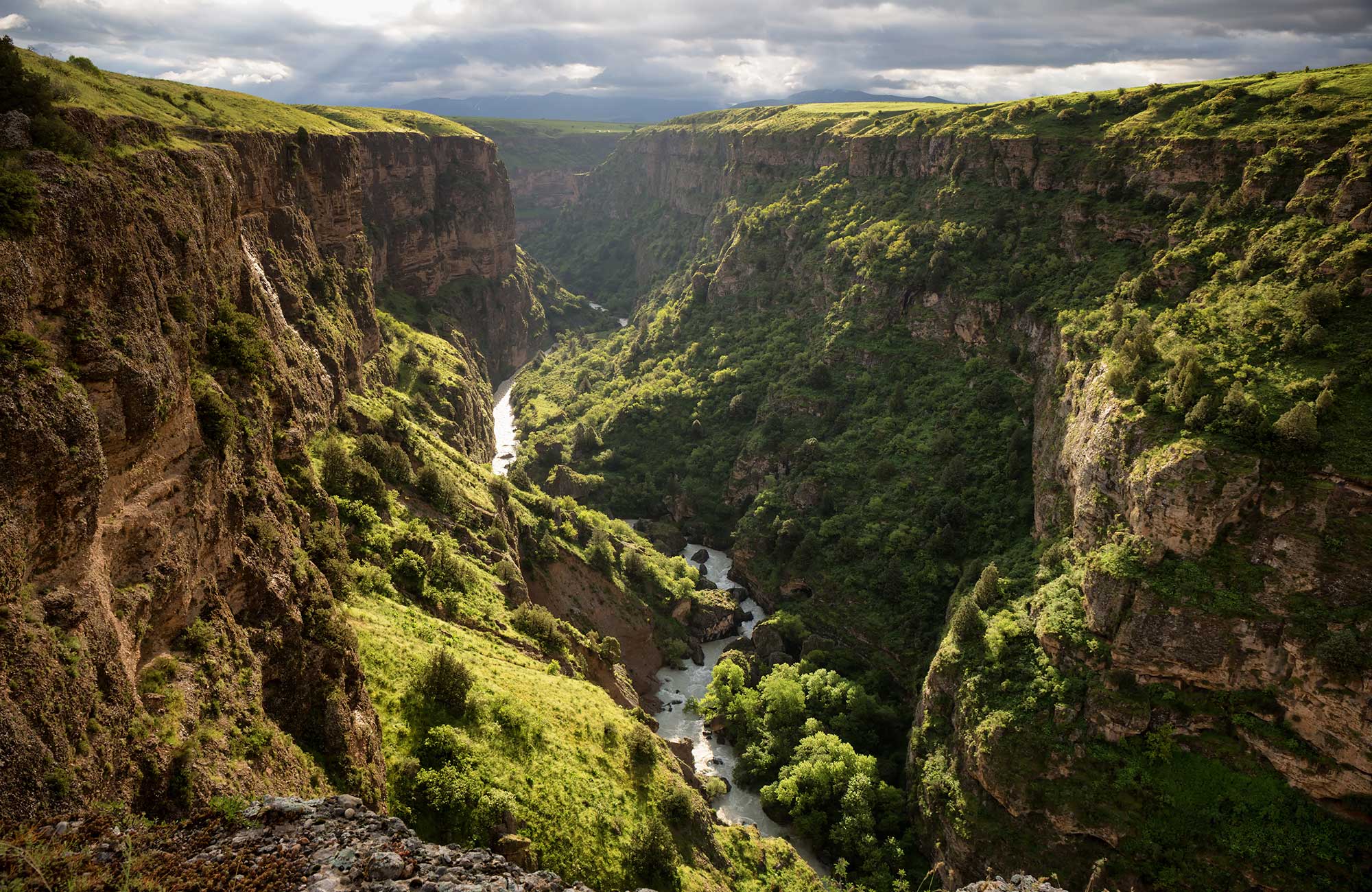 Vy över ett grönskande Aksu River i Kazakhstan.