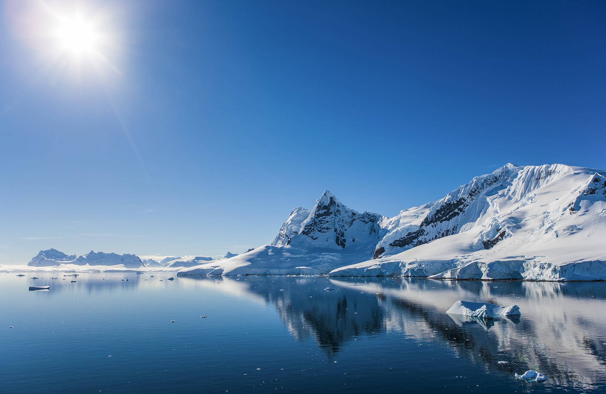 utforska antarktis otroliga natur