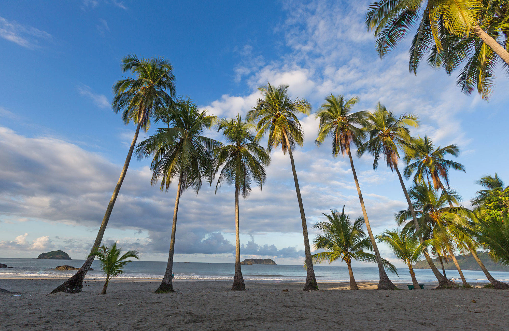 Strand med palmer i Quepos i Costa Rica.
