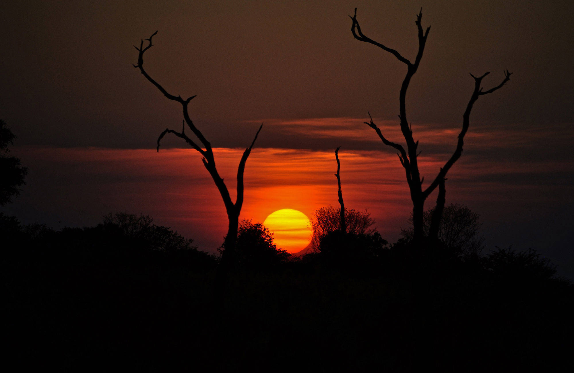En solnedgång under din resa till Botswana med KILROY