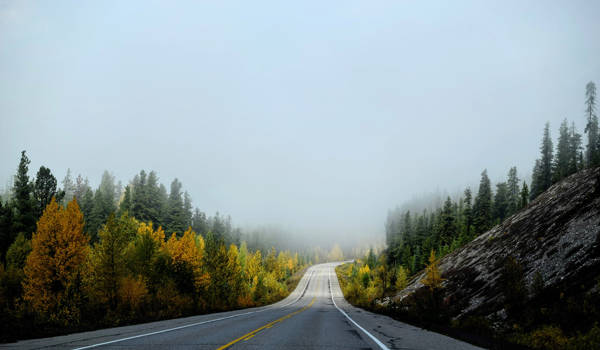 Canada Jasper National Park Road