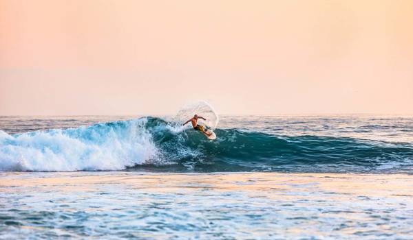 sydney-surfer-cover