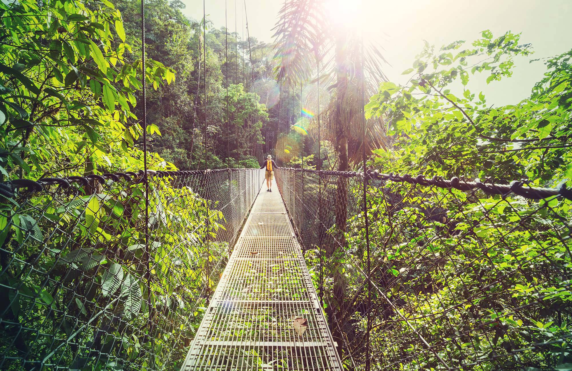 En man går på en hängbro i Costa RIcas djungel.