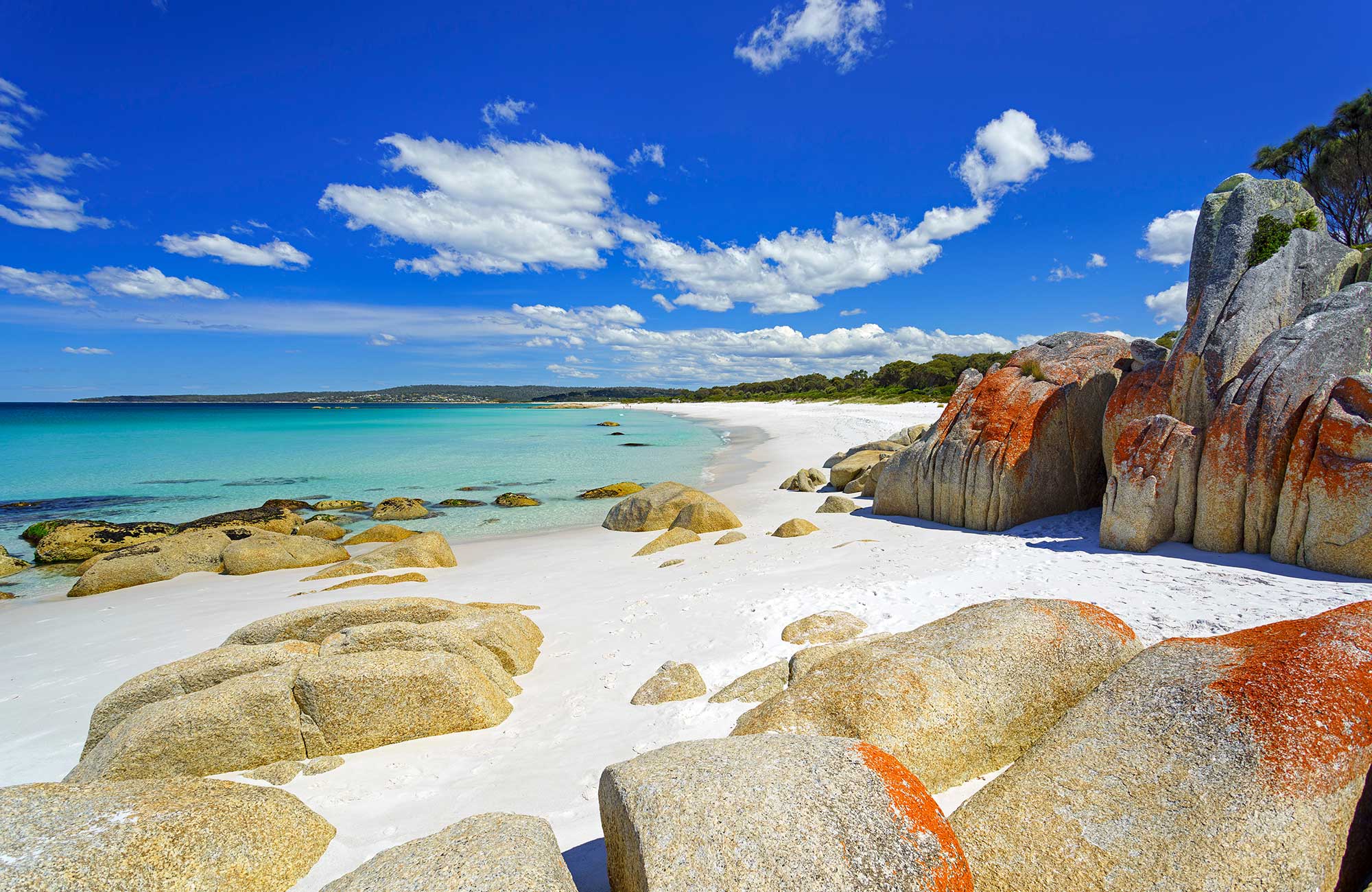 Australiensiska studier i Melbourne