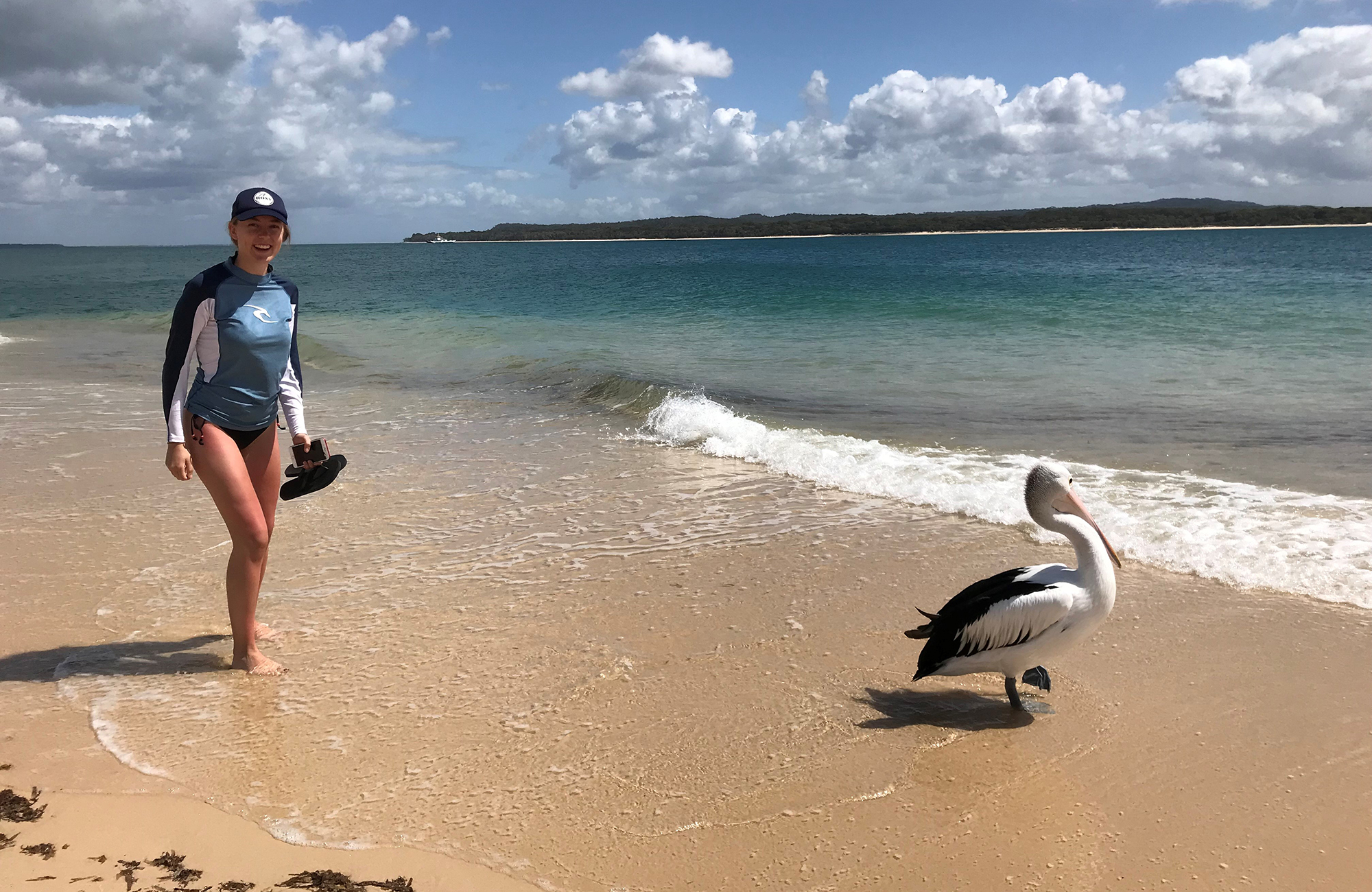 studenten malin på en strand i australien tillsammans med en pelikan