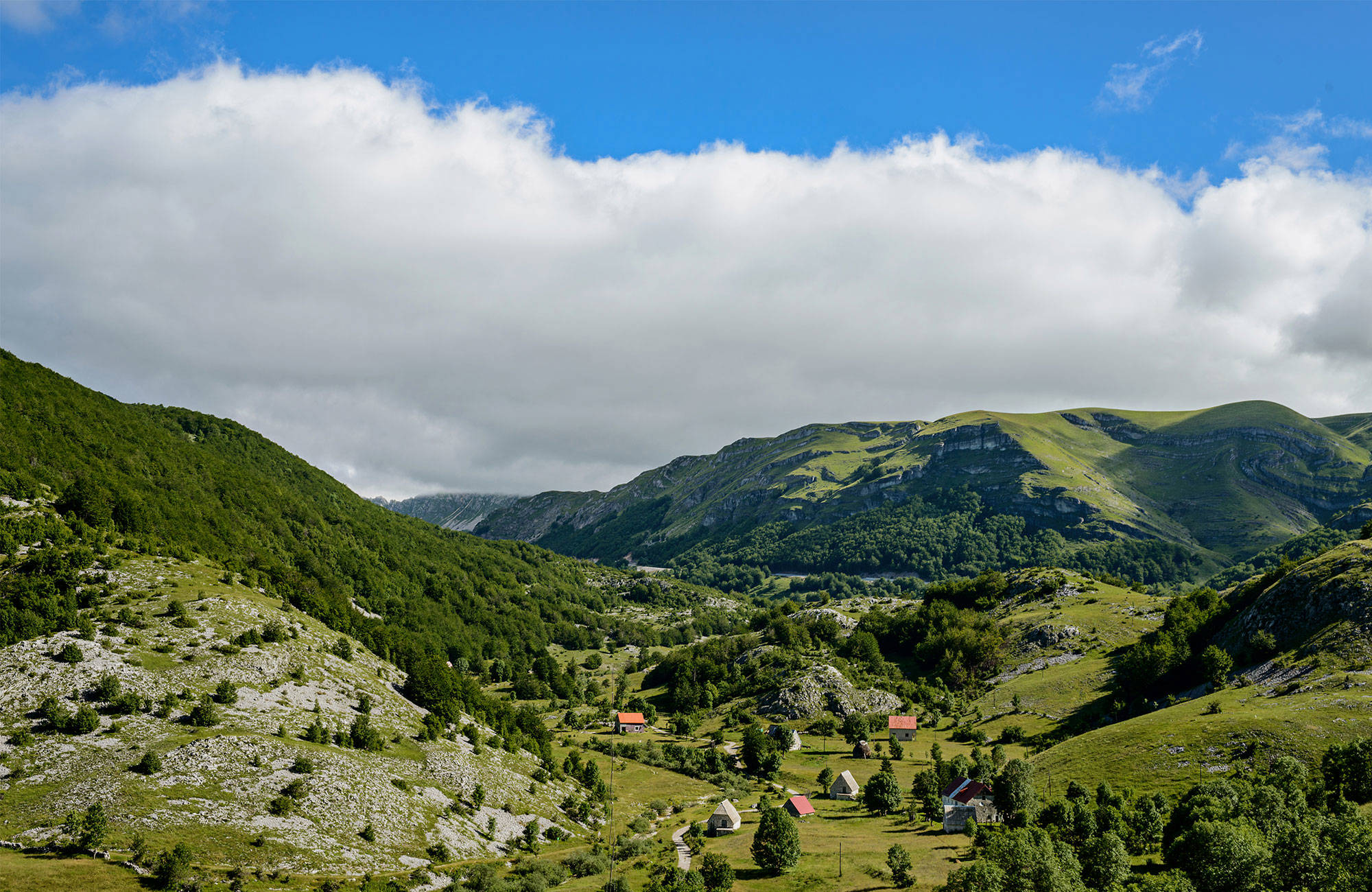 besök Lovćen National Park under en resa till montenegro