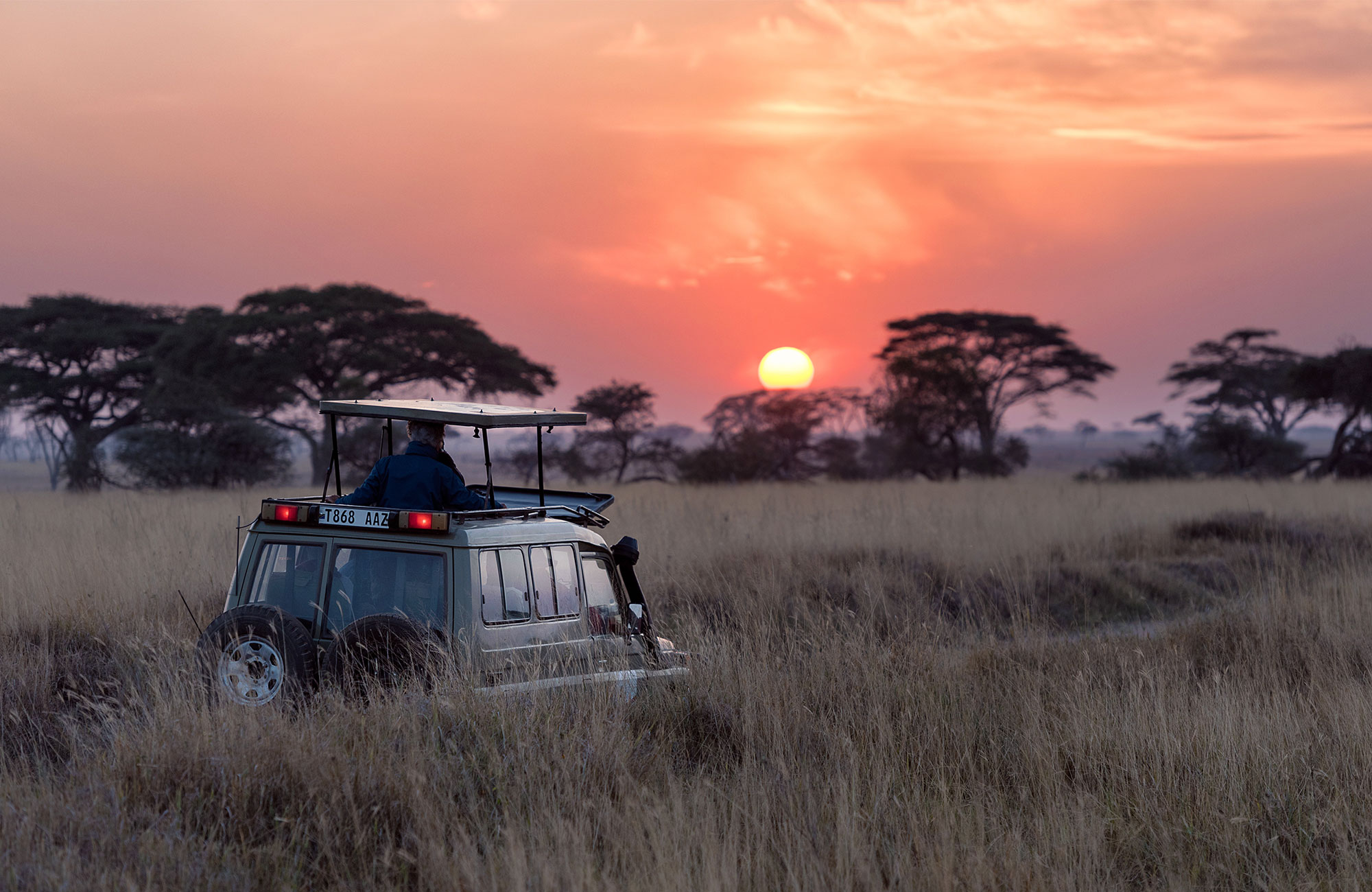 Safari i en overland-truck på savannen i Serengeti, Tanzania.
