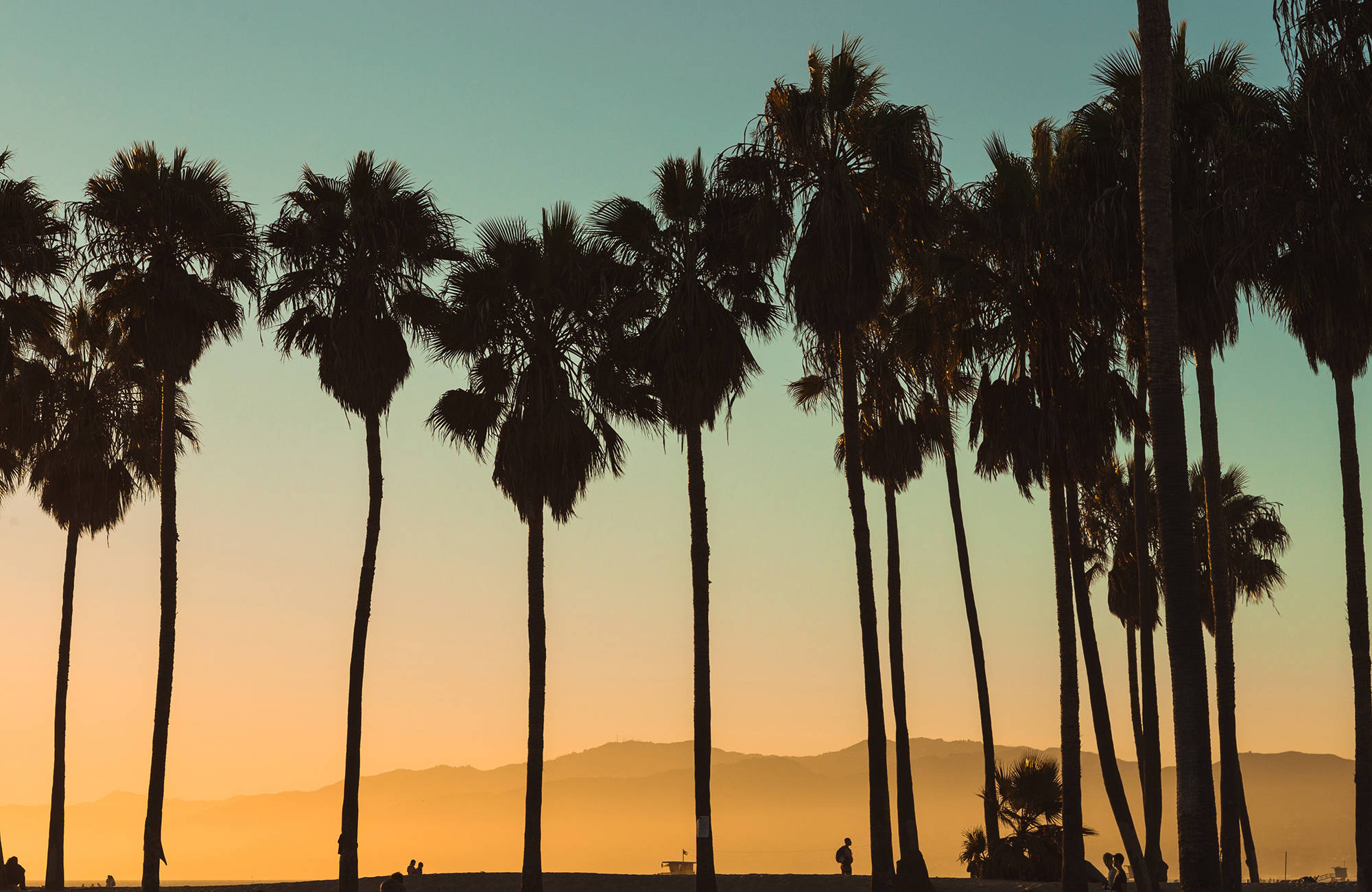 palmer i kalifornien