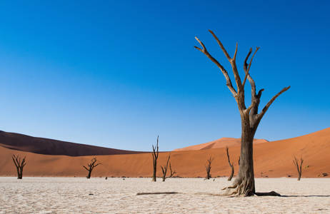 Torrt ökenlandskap i Namibia.
