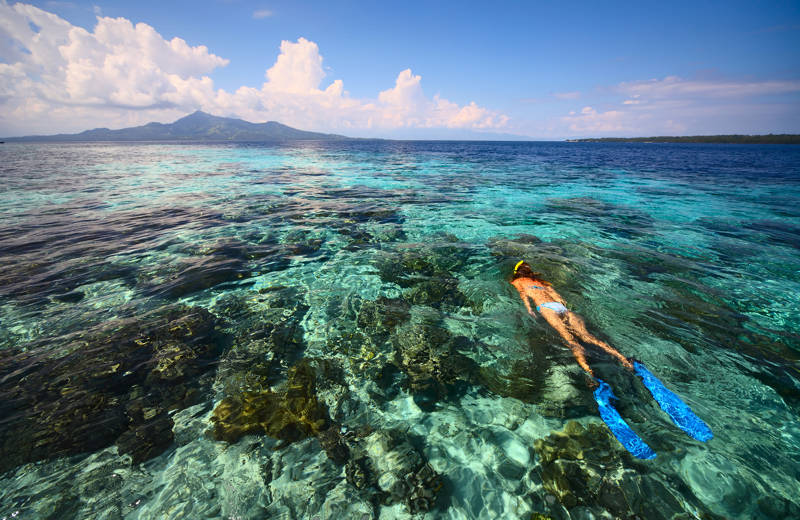Girl with blue flippers snorkelling on the shores of Sulawesi in Indonesia