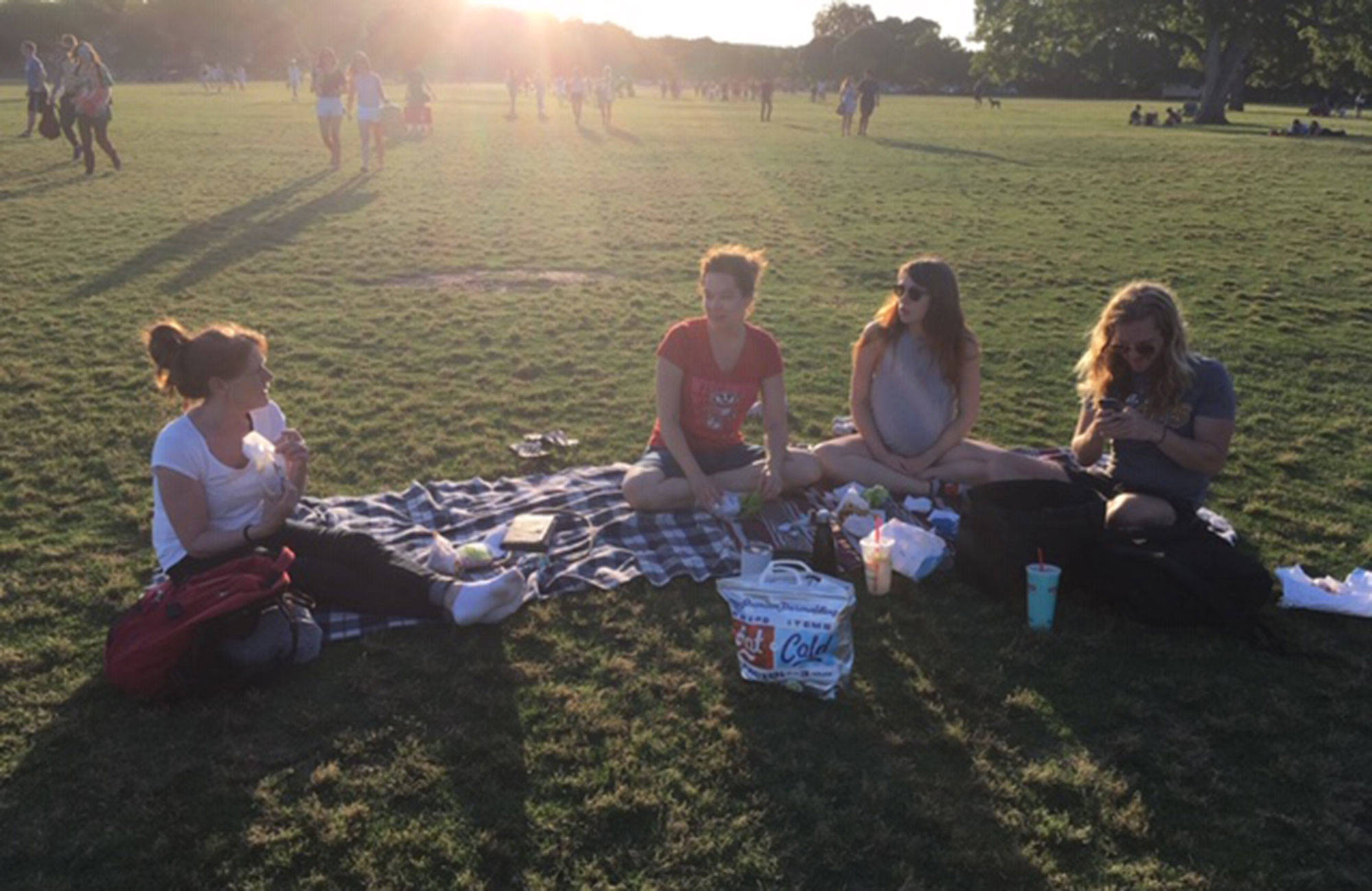 elin med vänner på picknick i en park