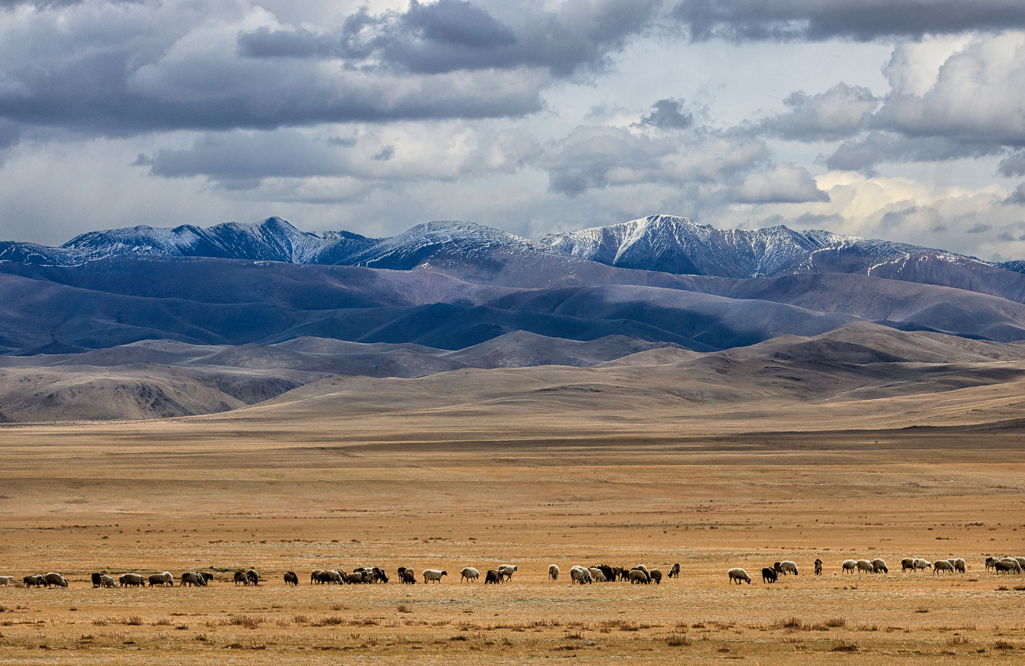 vackert landskap i mongoliet
