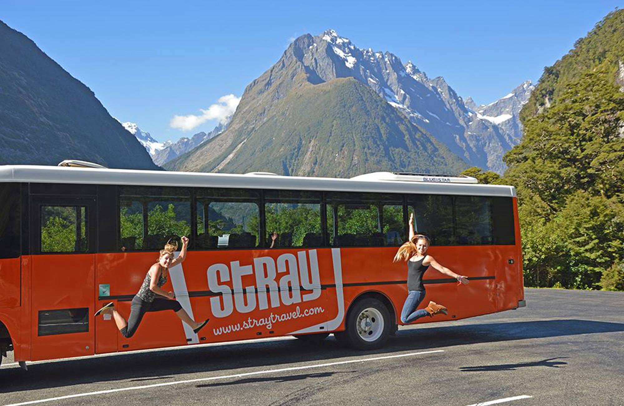 Busspass från Stray New Zealand