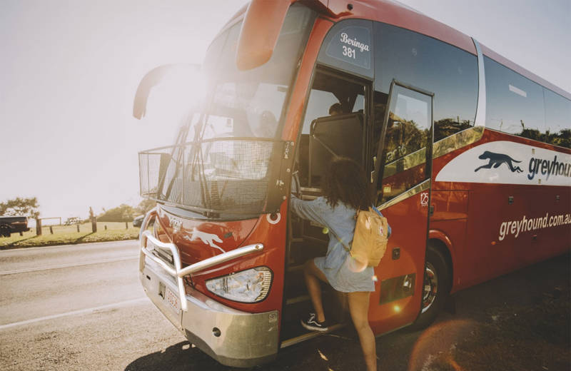 greyhound-australia-getting-onboard