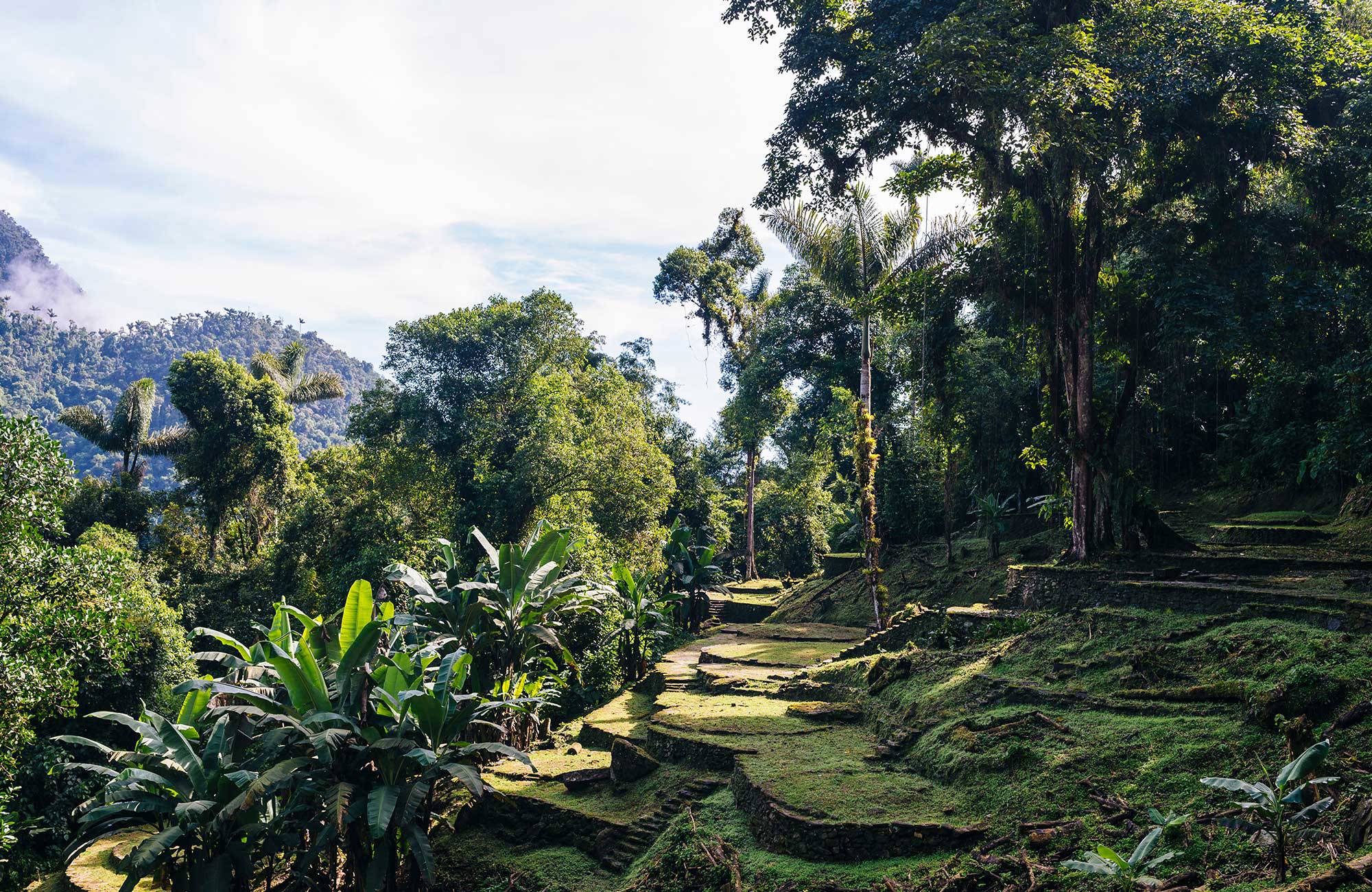 Lost City i Colombia | Trekking Peru & Colombia