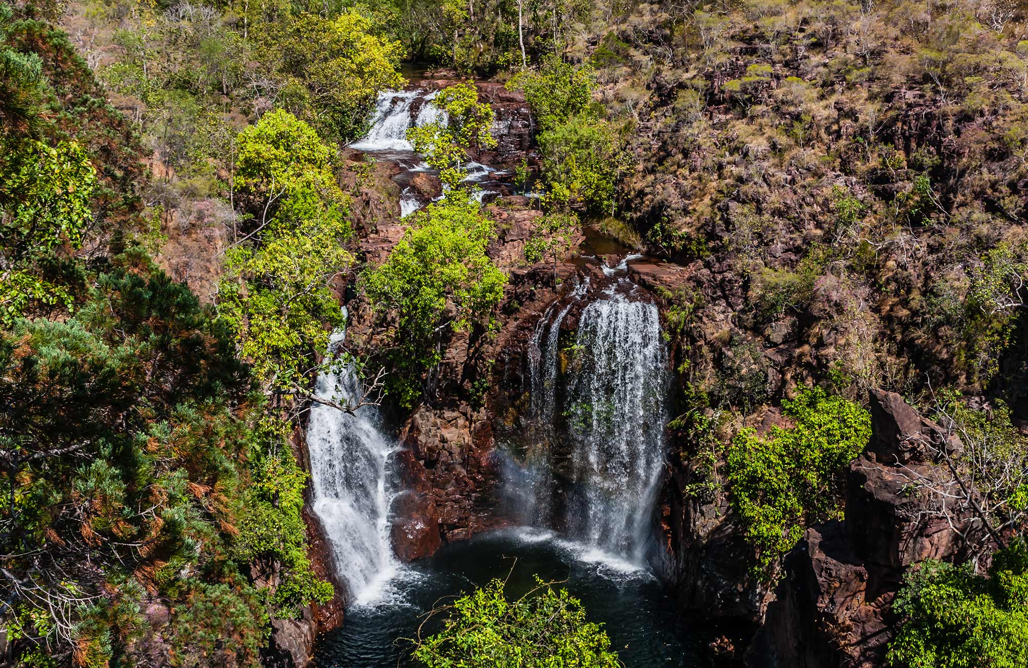 två krokodiler i darwin