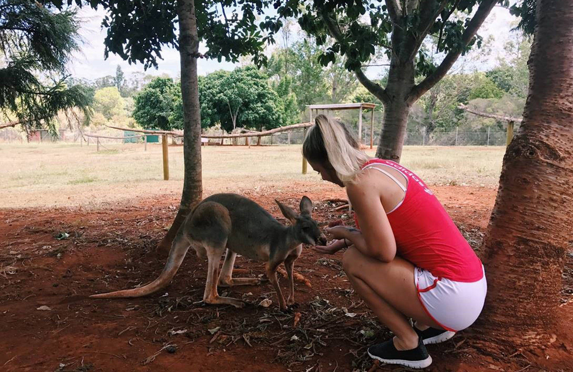malin och en känguru i australien