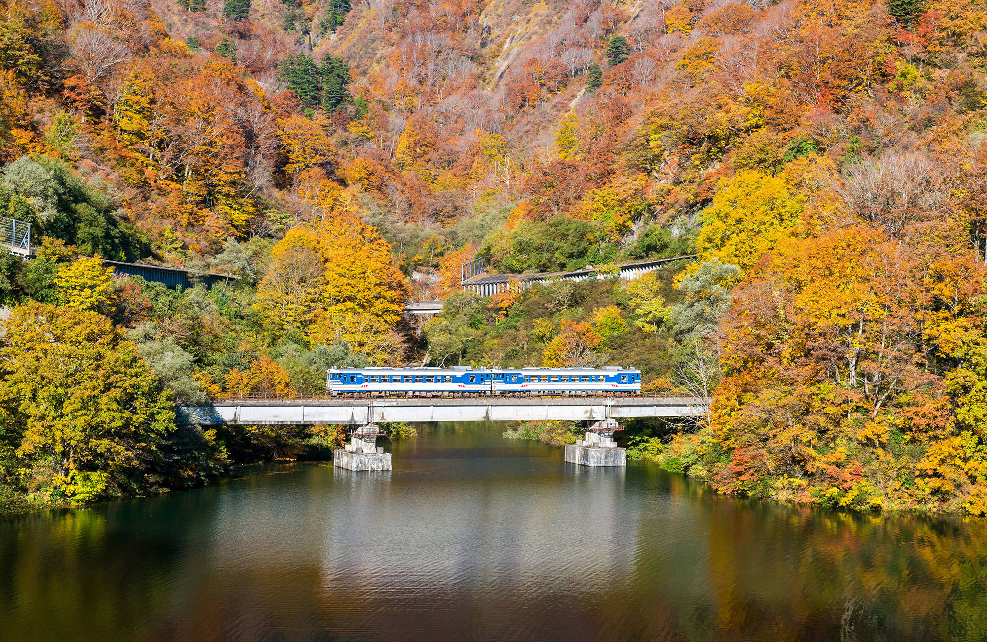 resa med tåg i japan under hösten